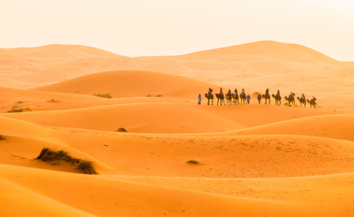10 Days Desert Tour from Casablanca