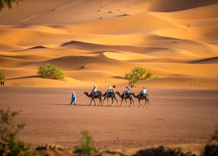 10 Days Desert Tour from Marrakech to Merzouga