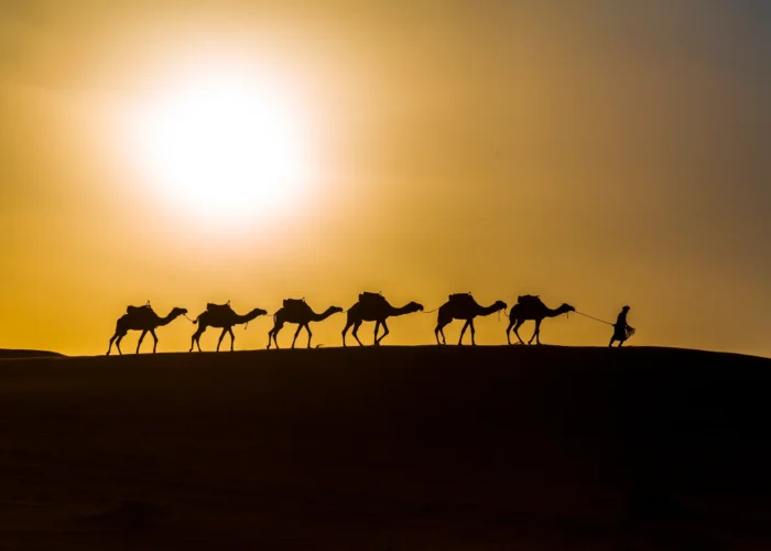3 Days Desert Tour from Marrakech to Merzouga